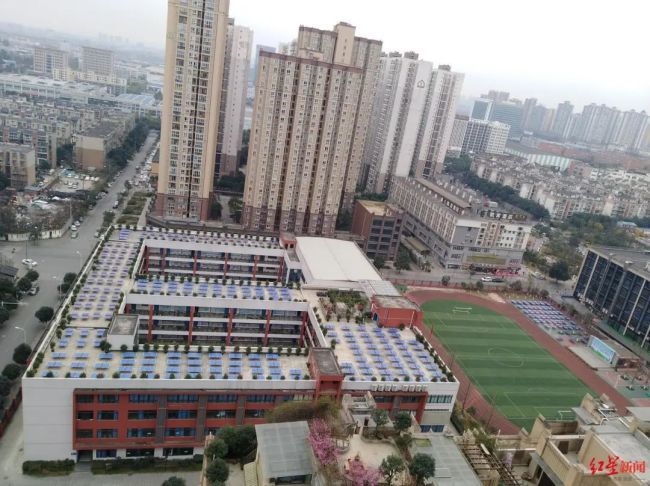 小学连开3天家长会 线下专家培训 教育局：正调查