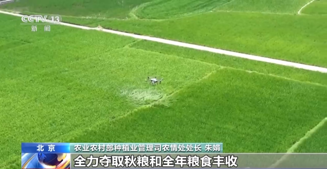当农业生产遇到极端天气 如何做好田间管理？