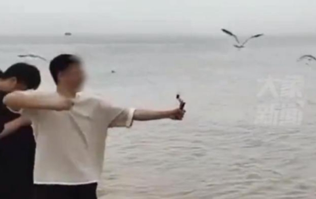 警方谈男子用弹弓打海鸥，派出所：男子涉嫌违法！