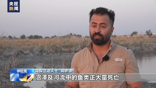 熱浪席卷電力不足 伊拉克民眾艱難應對