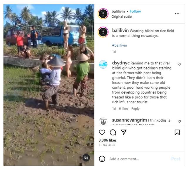 游客穿比基尼帮巴厘岛农民种庄稼 网友：帮忙还是作秀？