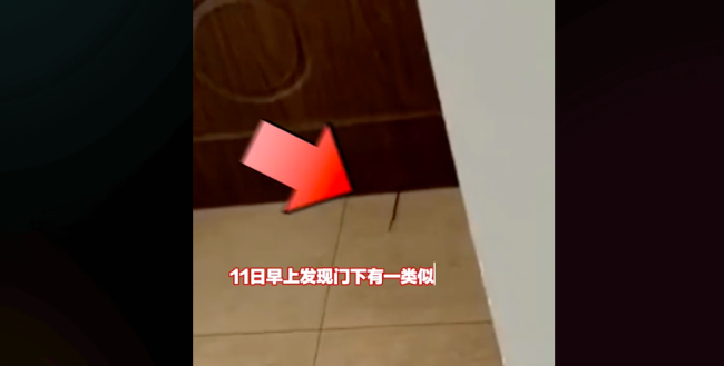 阴暗的角落！女生称合租男室友偷拍她并报警！男子设备齐全