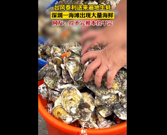 台风送来大量生蚝海鲜 市民拎麻袋装 青口贝螃蟹全有