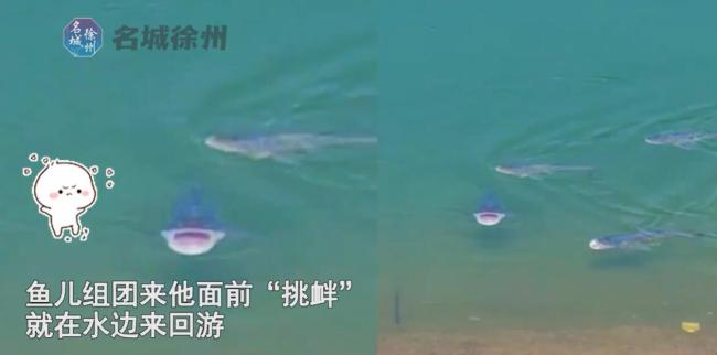 男子在禁钓区看到一群鱼，在水边来回游张大嘴挑衅：想钓不能钓