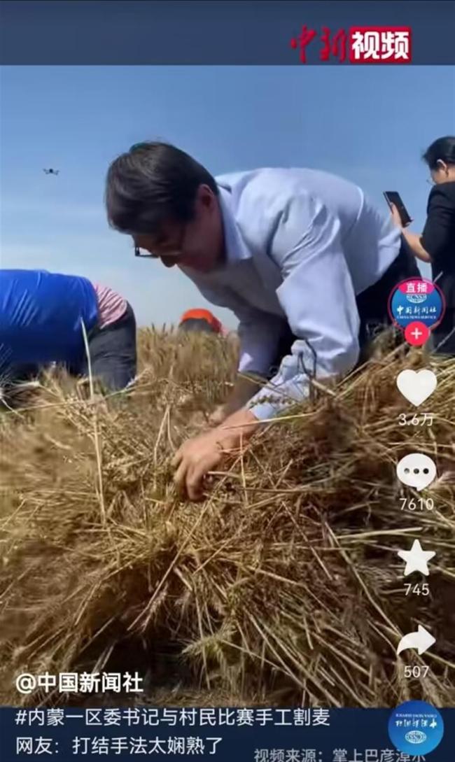 A区委书记与村民比赛手工割麦子1.jpg A区委书记与村民比赛手工割麦子1.jpg
