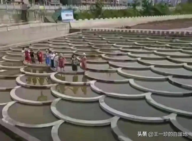 7位漂亮大妈站河道拍照7人身亡 网友评论却一边倒：关政府什么事？