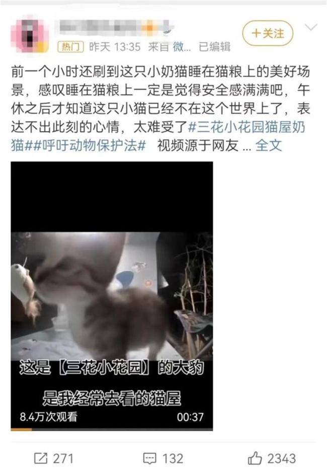 上海一男子虐猫埋尸被发现 工作单位：即刻开除，永不录用