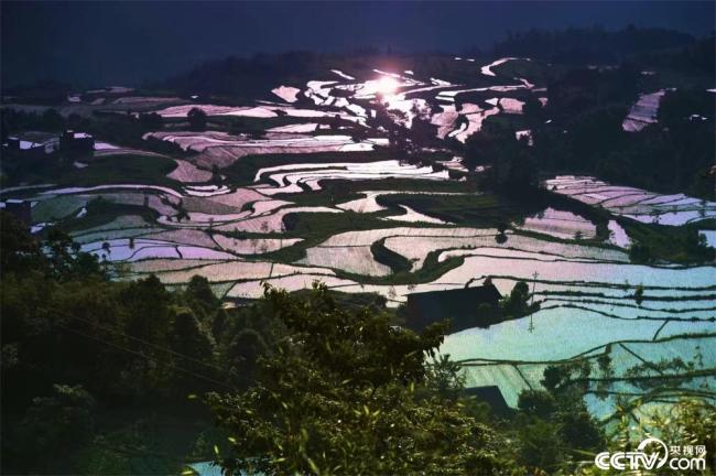 贵州习水：夏日风光美如画