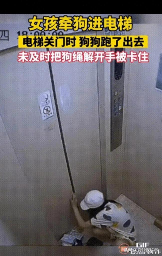 女子在电梯手腕不慎被狗绳勒住崩溃大声喊救命