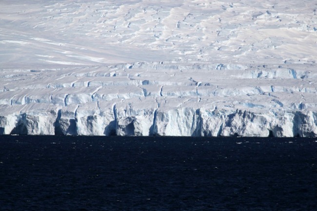 南极海冰融化严重危及帝企鹅幼鸟