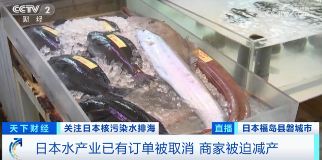 在日本华人拍超市现状 连日本人都不吃福岛产品