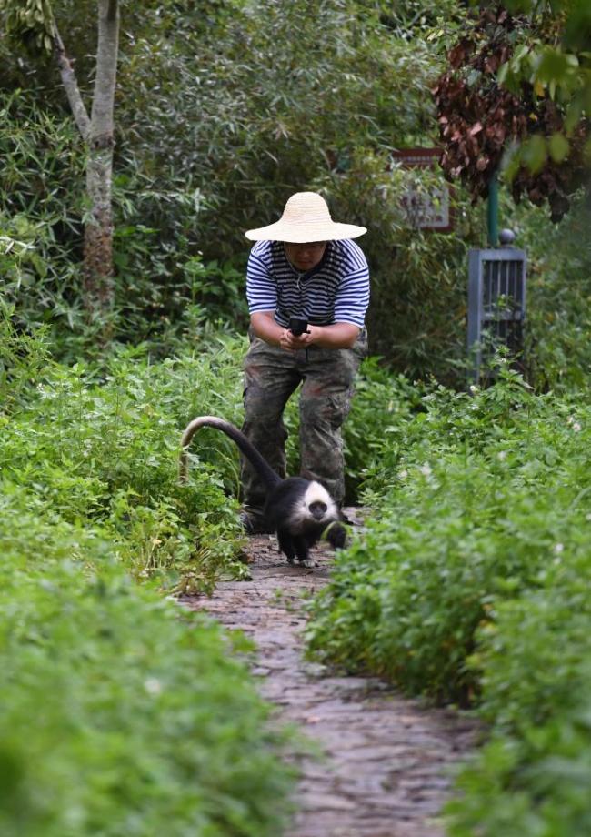 我在现场·照片背后的故事｜219国道的笑声