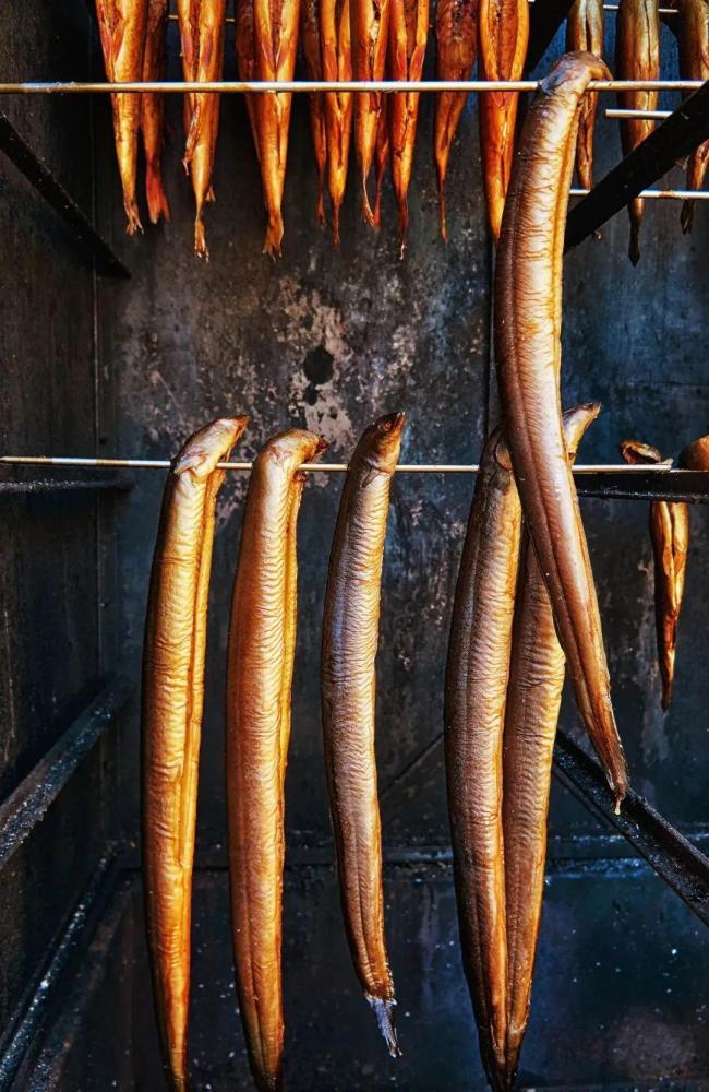 核污水排海后中国鳗鱼之乡的担忧土塘养鳗满足全世界