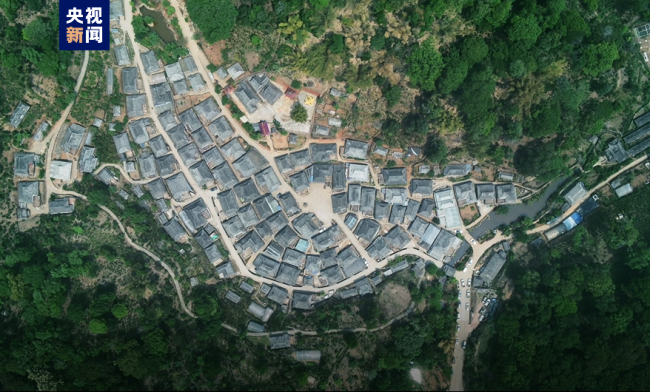 “普洱景邁山古茶林文化景觀”成功列入世界遺產