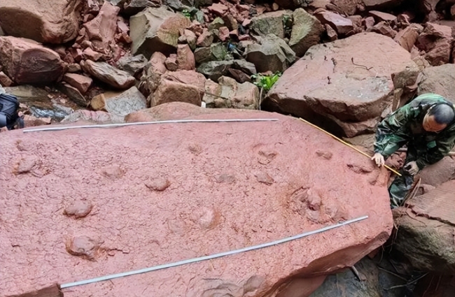 四川河床现恐龙脚印 10岁男孩在河床边玩耍时意外发现
