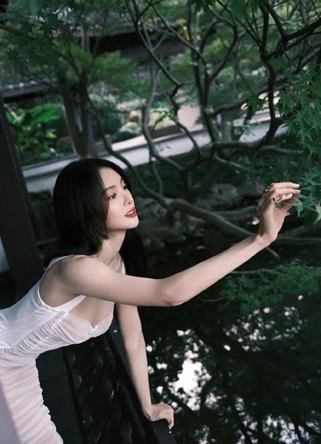 沈腾吐槽金晨一步一亮相 金晨的这波操作真的太逗了！