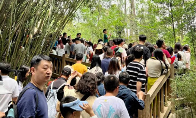 志愿者热情投喂黄山游客，暖心故事感动众多人