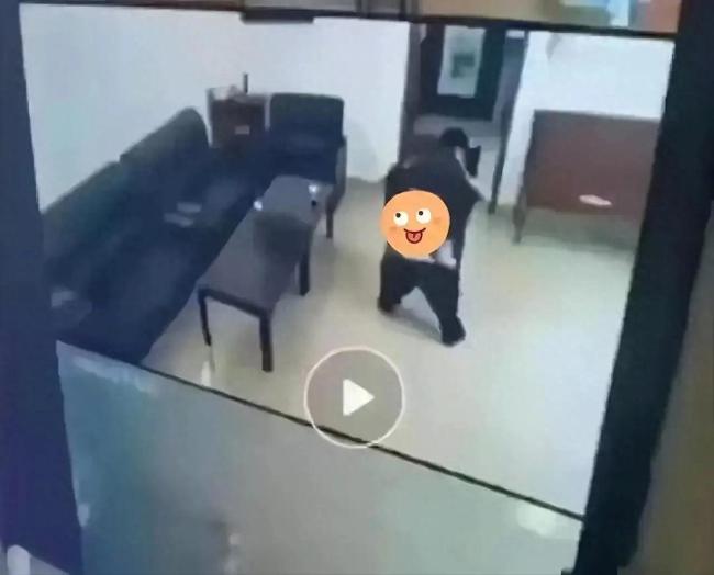 专家谈传播不雅视频后果：侵犯个人隐私，触犯法律
