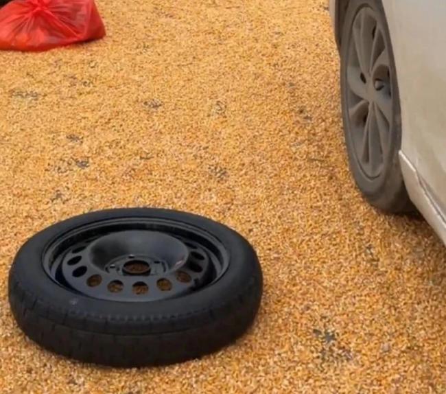 村民晒粮放钉板扎坏车胎 车主：维修花了400块钱
