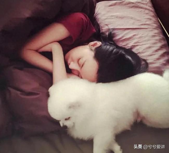 禁止养狗是必要紧急措施吗？在中国可能吗？