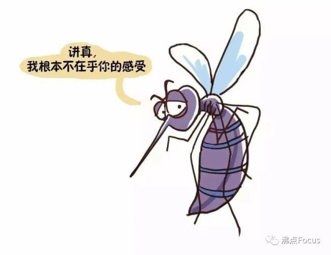 专家警告：随着气候变暖 未来蚊虫或全年无休