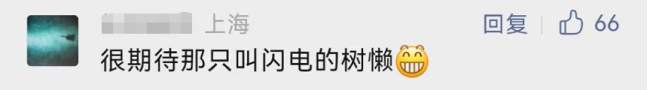 全球首个！上海迪士尼乐园疯狂动物城12月开园