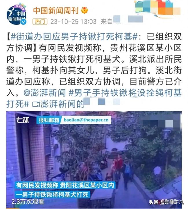 男子打死小区未拴绳柯基 狗主人不能生育崩溃大哭儿子去世 警方已介入