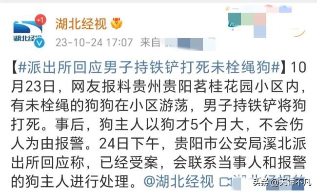 男子打死小区未拴绳柯基 狗主人不能生育崩溃大哭儿子去世 警方已介入