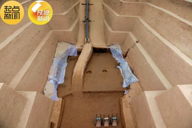 罕见！秦始皇陵西墓葬发现6只绵羊羊车：还留存着用来拉车的配饰