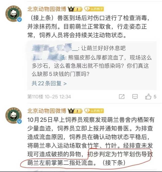 北京动物园回应萌兰受伤：目前能取食行走正常