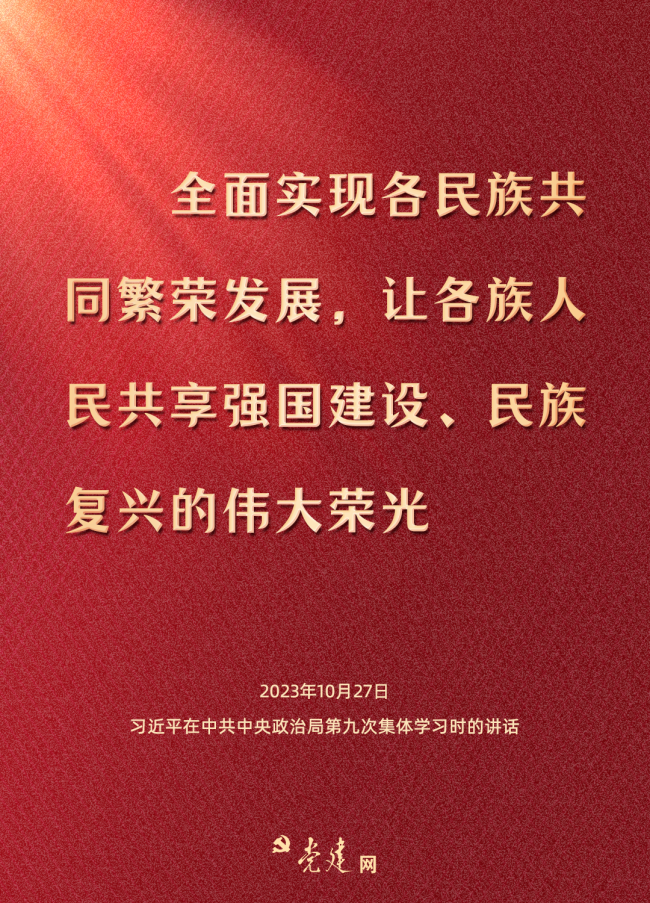 一图学习丨铸牢中华民族共同体意识，总书记这样强调