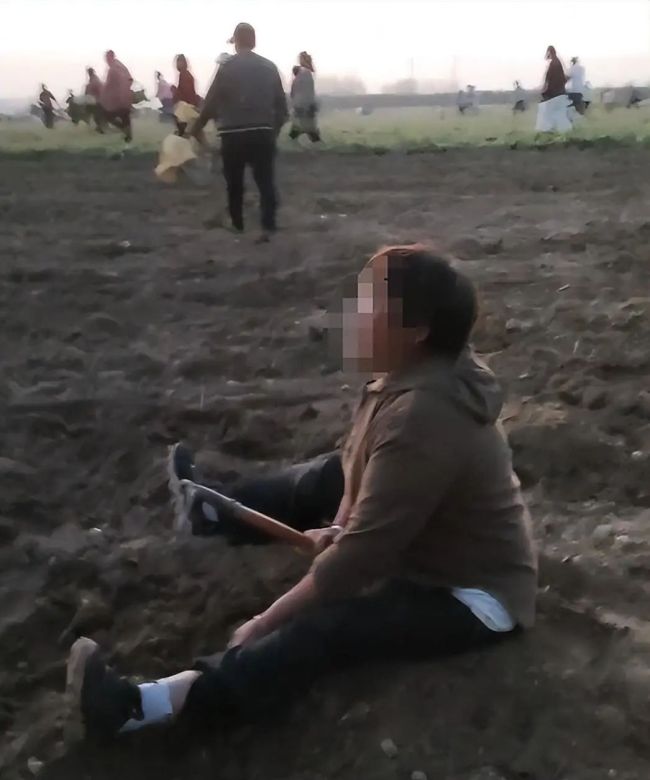 农民药材遭哄抢坐地里大哭无人理？多方回应来了