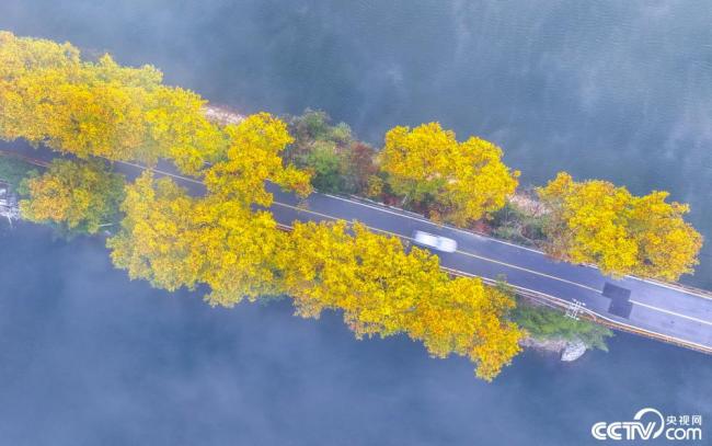 杭州：乡村秋景如画