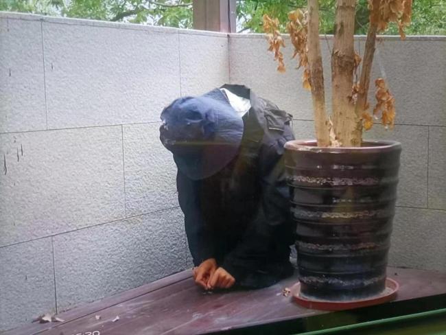 女生疑遭网暴跳江轻生 哥哥：有多人给妹妹发送辱骂信息