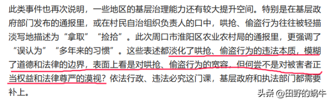 媒体评哄抢频发：与纵容有极大关系！大事化小小事化了本身就是错误的行为