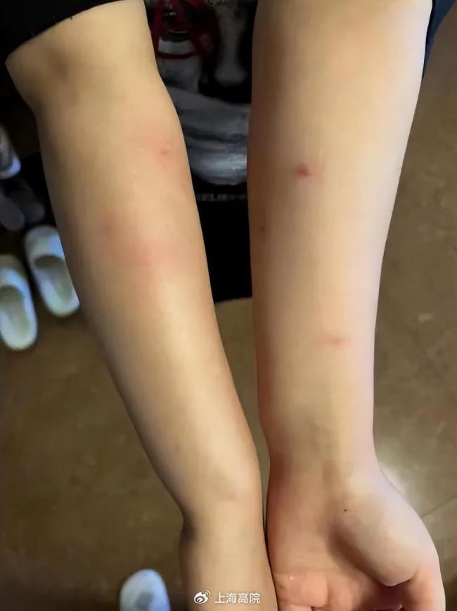 金渐层、稀有色？女子买到两只“美颜”病猫 宠物买卖中，一般存在哪些欺诈行为？