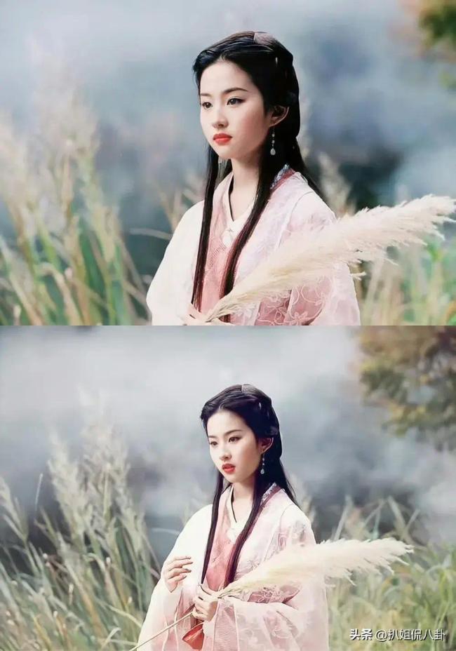 神仙姐姐饰演的王语嫣让金庸先生笔下的美人有了参照物,美到无法用