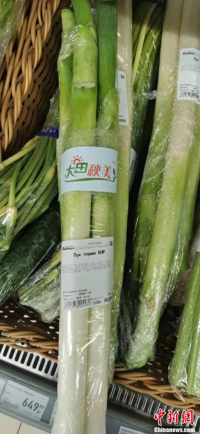 山东章丘大葱今年葱王2586米比姚明还高一头