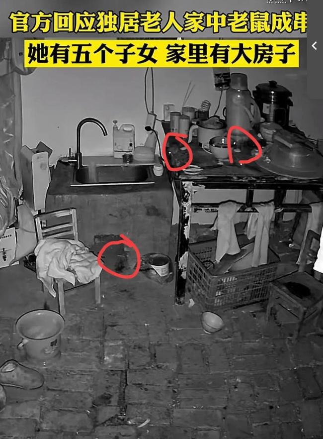 官方回应老人家中老鼠乱窜：三儿媳已赶往家中将老人接走