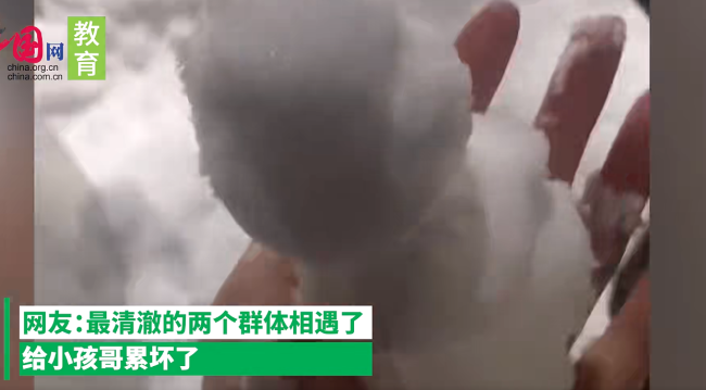 男孩做雪熊大学生排队领取，给小孩哥累坏了