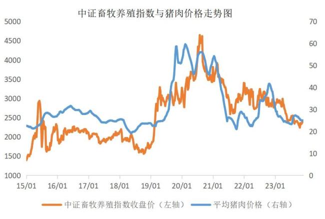 豬價跌入歷史冰點生豬養殖困境何時迎轉機2