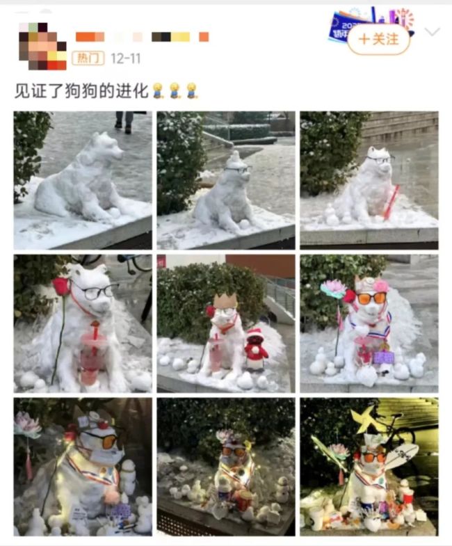一、引言