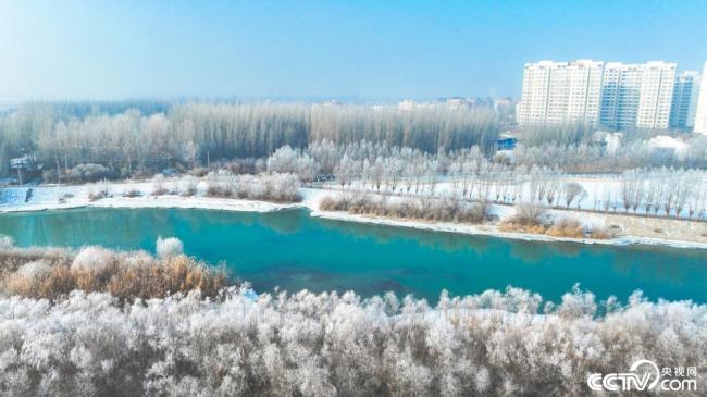 新疆博湖出现雾凇景观