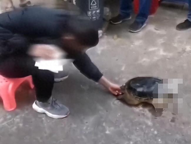 男子手指被鳄龟咬住痛哭一个多小时，消防员用白酒成功解救
