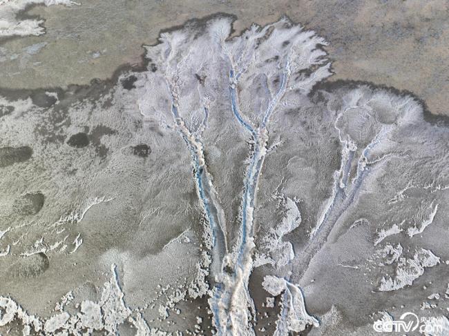 浙江嘉兴：钱塘江结冰 滩涂现巨大“冰雪潮汐树”