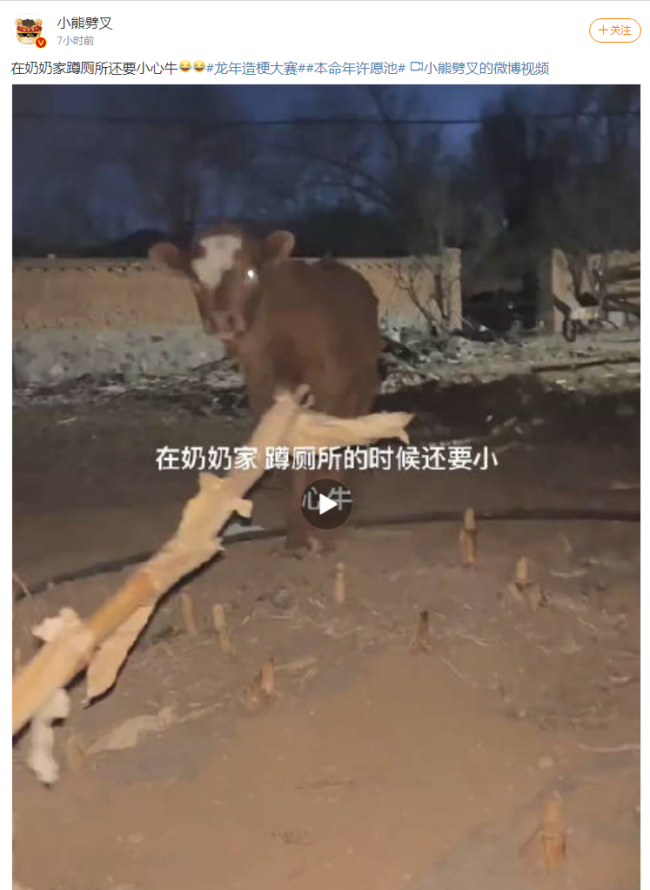 在奶奶家蹲厕所还要小心牛