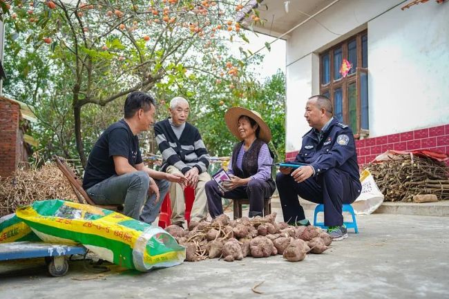 2024年中央一号文件发布！要点速览→