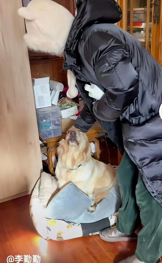 演员李勤勤收养周海媚爱犬：一定照顾好她的毛孩子 