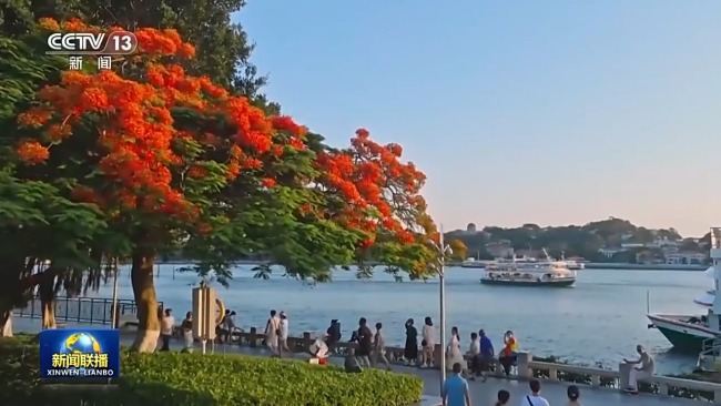 从山顶到海洋 厦门绘就生态保护修复壮丽图景