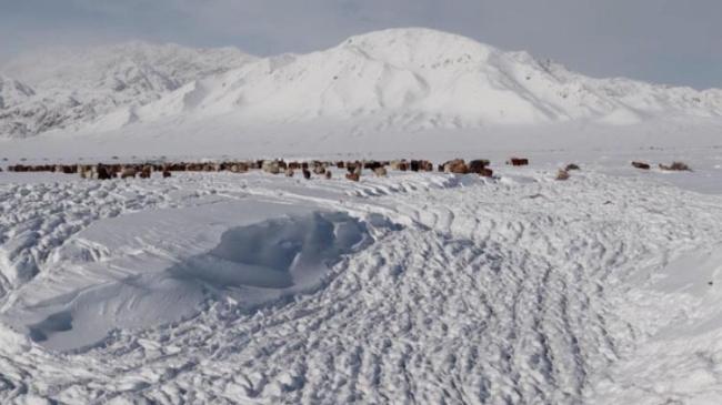 暴风雪天气后,部分山谷地区的积雪厚度达100公分.